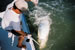 destin charter tarpon
