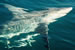 sharkfishing